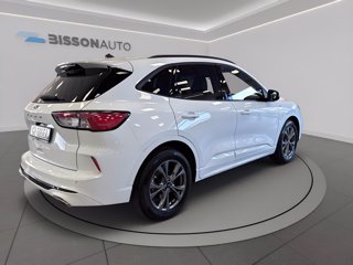 FORD Kuga 1.5 ecoblue st-line x 2wd 120cv auto