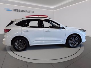 FORD Kuga 1.5 ecoblue st-line x 2wd 120cv auto