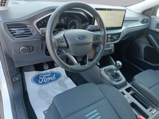 FORD Focus active 1.0t ecoboost h 125cv