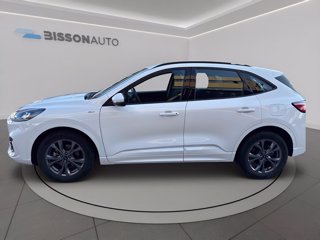 FORD Kuga 2.5 full hybrid st-line 2wd 190cv cvt