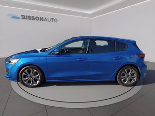 FORD Focus 1.5 ecoblue st-line x 115cv auto