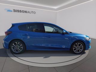 FORD Focus 1.5 ecoblue st-line x 115cv auto