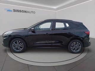 FORD Kuga 2.0 ecoblue st-line 2wd 120cv auto