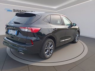 FORD Kuga 2.0 ecoblue st-line 2wd 120cv auto
