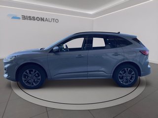 FORD Kuga 2.0 ecoblue st-line x awd 120cv auto