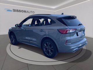 FORD Kuga 2.0 ecoblue st-line x awd 120cv auto