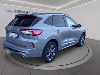 FORD Kuga 2.0 ecoblue st-line x awd 120cv auto