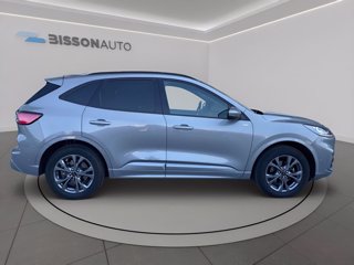 FORD Kuga 2.0 ecoblue st-line x awd 120cv auto