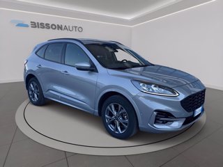 FORD Kuga 2.0 ecoblue st-line x awd 120cv auto