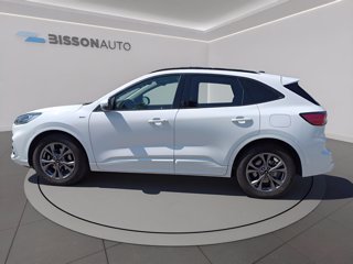 FORD Kuga 1.5 ecoblue st-line x 2wd 120cv auto