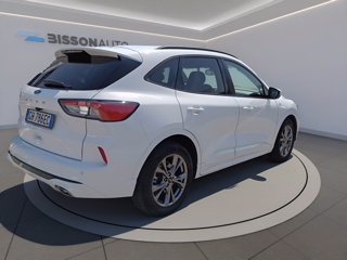 FORD Kuga 1.5 ecoblue st-line x 2wd 120cv auto