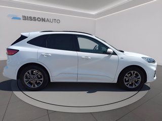 FORD Kuga 1.5 ecoblue st-line x 2wd 120cv auto