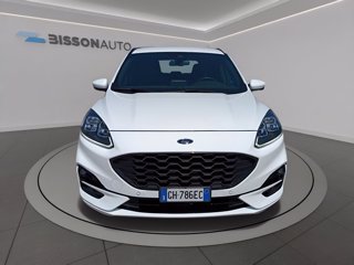 FORD Kuga 1.5 ecoblue st-line x 2wd 120cv auto