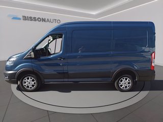 FORD Transit 310 2.0 tdci mhev 130cv trend l2h2 e6.2