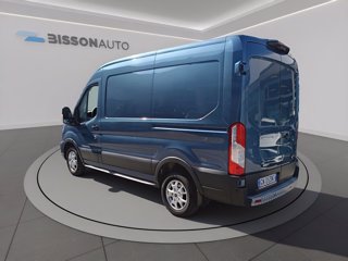 FORD Transit 310 2.0 tdci mhev 130cv trend l2h2 e6.2