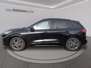 FORD Kuga 2.0 ecoblue st-line x 2wd 120cv auto