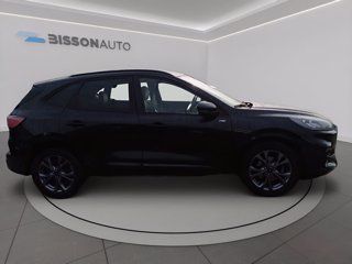 FORD Kuga 2.0 ecoblue st-line x 2wd 120cv auto