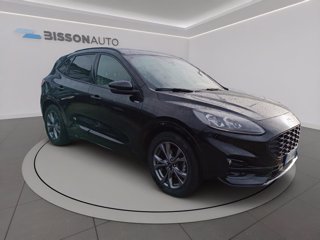 FORD Kuga 2.0 ecoblue st-line x 2wd 120cv auto