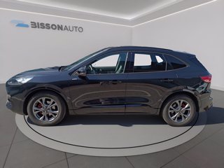 FORD Kuga 2.0 ecoblue st-line x 2wd 120cv auto
