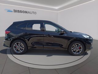 FORD Kuga 2.0 ecoblue st-line x 2wd 120cv auto