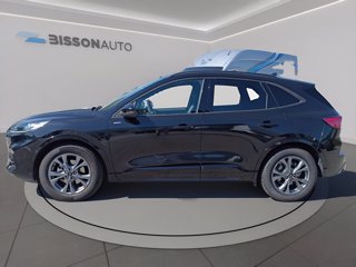 FORD Kuga 2.5 full hybrid st-line 2wd 190cv cvt