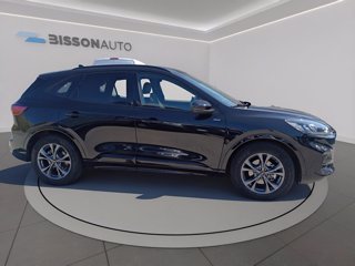FORD Kuga 2.5 full hybrid st-line 2wd 190cv cvt