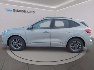 FORD Kuga 1.5 ecoblue st-line 2wd 120cv