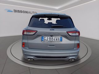 FORD Kuga 1.5 ecoblue st-line 2wd 120cv