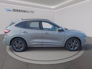FORD Kuga 1.5 ecoblue st-line 2wd 120cv