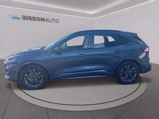 FORD Kuga 2.5 full hybrid ST-Line 2wd 190cv cvt