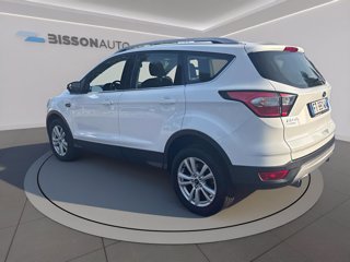 FORD Kuga 1.5 tdci business s&s 2wd 120cv my19.25