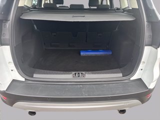 FORD Kuga 1.5 tdci business s&s 2wd 120cv my19.25