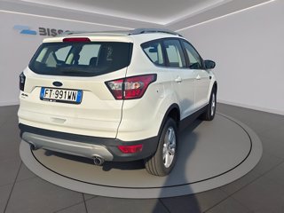 FORD Kuga 1.5 tdci business s&s 2wd 120cv my19.25