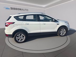FORD Kuga 1.5 tdci business s&s 2wd 120cv my19.25