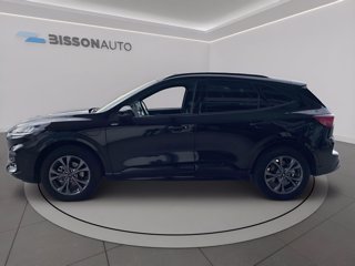 FORD Kuga 2.5 phev st-line 2wd 225cv cvt