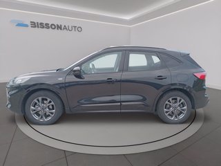 FORD Kuga 2.5 full hybrid st-line 2wd 190cv cvt