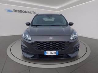 FORD Kuga 2.5 full hybrid st-line 2wd 190cv cvt