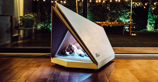 Ford Active Noise Kennel News (1)