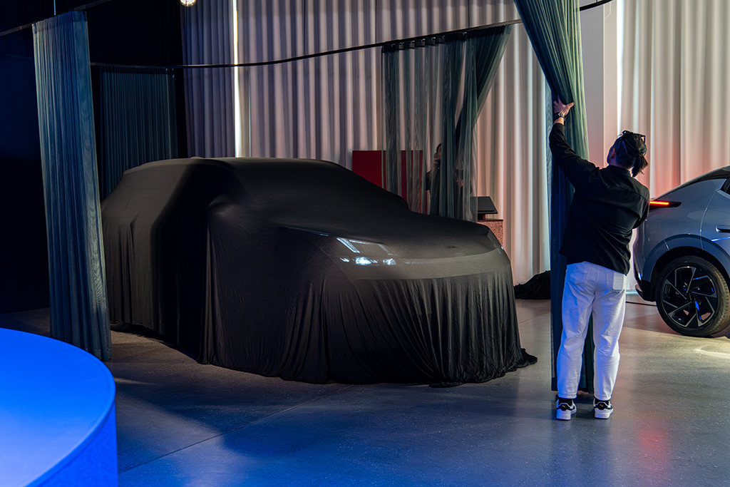 Lync&Co Vendita Vicenza