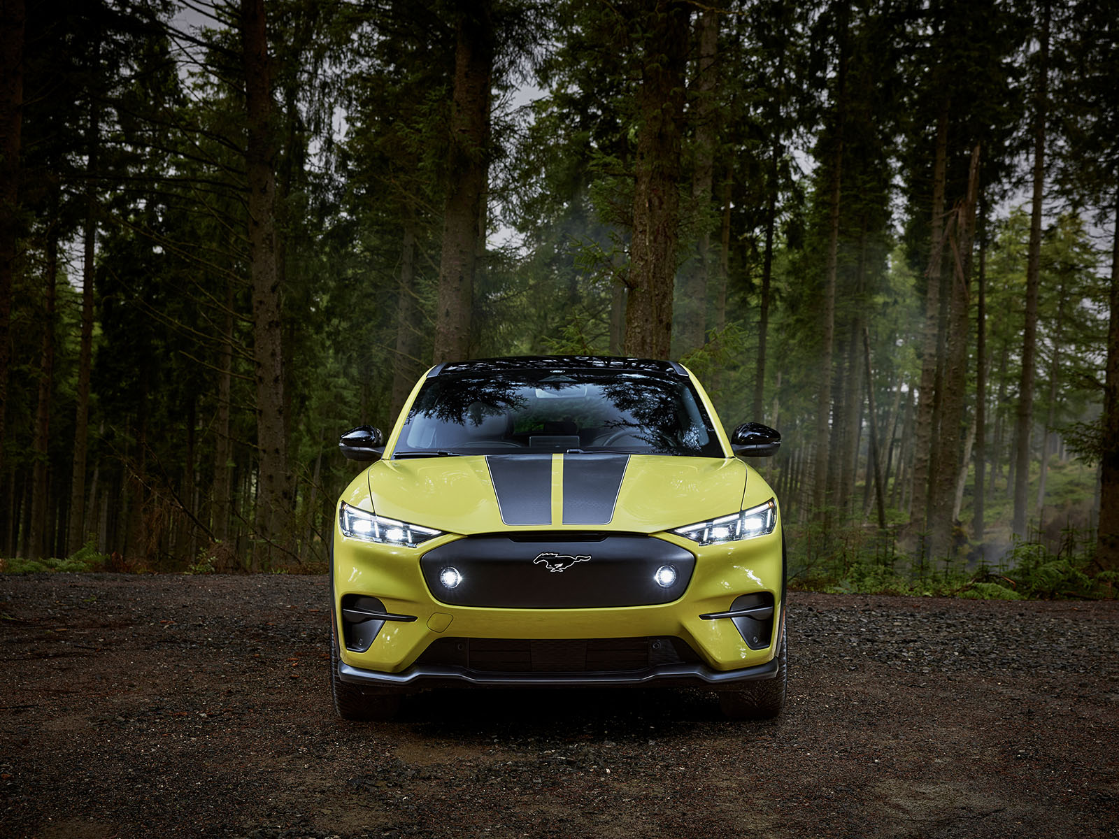 Mustang Mach E Rally Edition Auto Elettrica Da Rally 3