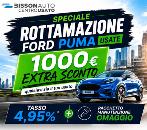 ROTTAMAZIONE PUMA