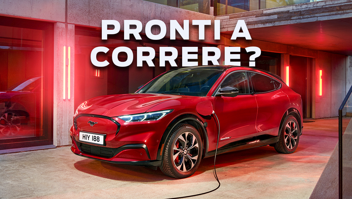 1 Oglmage News Stravicenza 2022