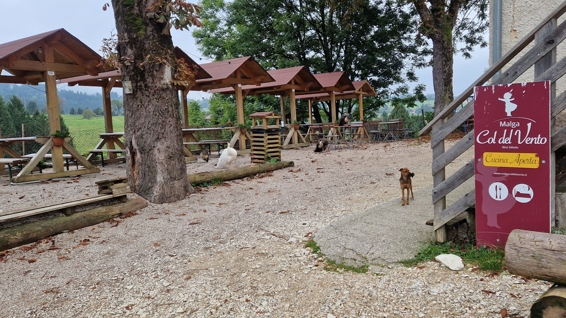 Malga Col Del Vento 1920X1080
