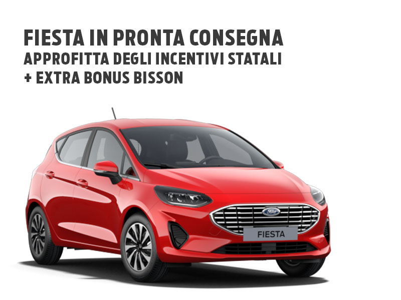01 Ford Fiesta Sezione (1)