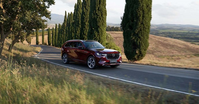 Mazda CX 80 4 Vicenza Padova Rovigo Chioggia Bassano Este 1200X628