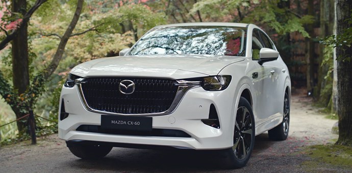 62Bc7e73b2654ebfa7bed06473b21f98