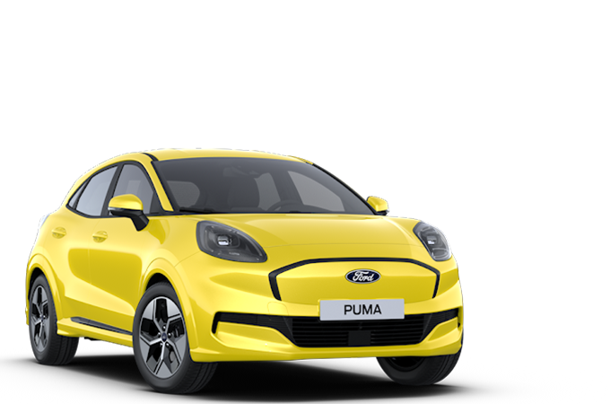 Puma Elettrica Imm Gamma 450