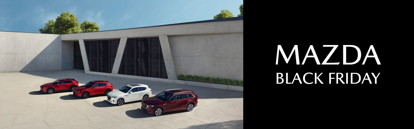 1440X450 BLACK FRIDAY