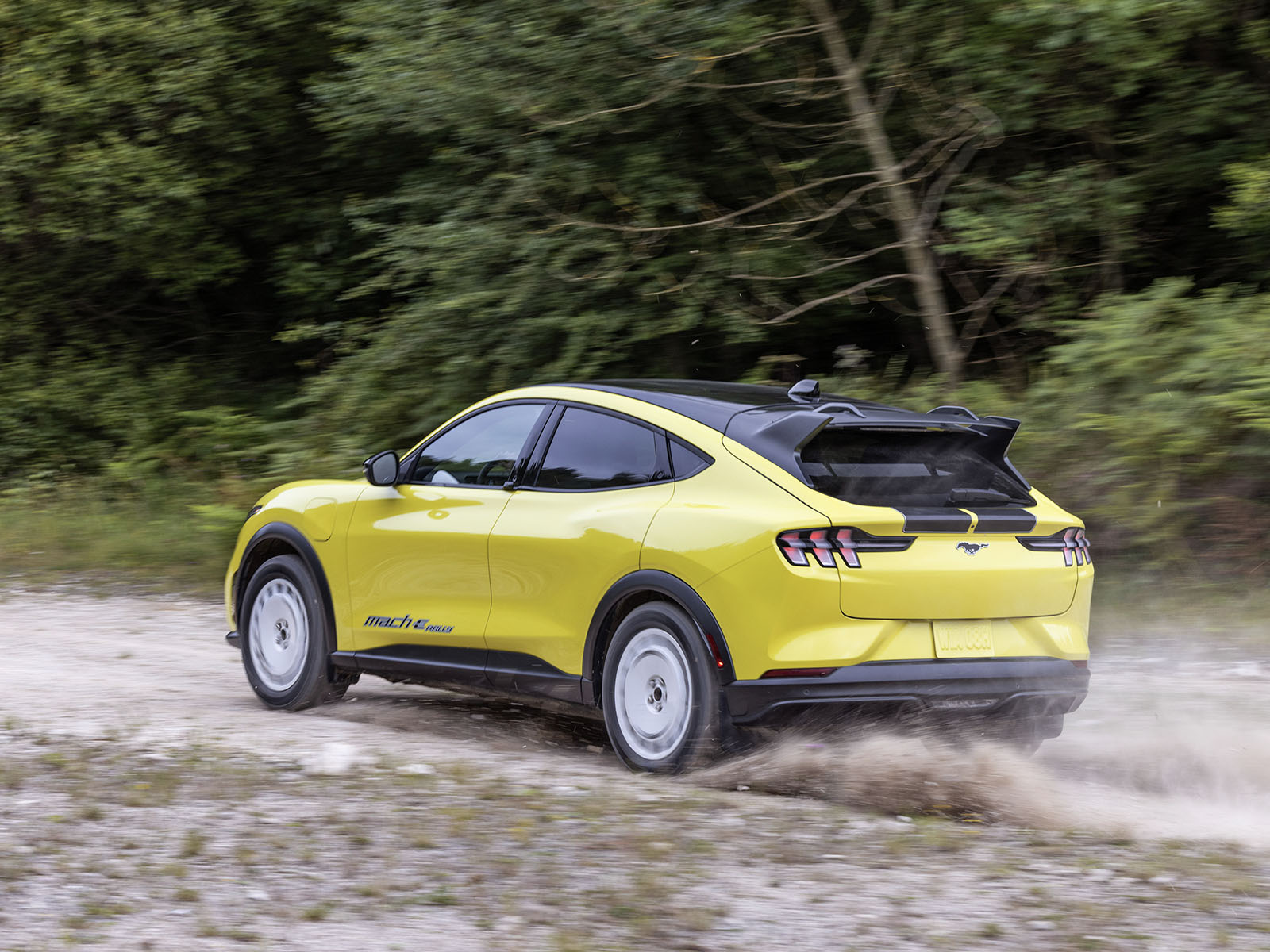 Mustang Mach E Rally Edition Auto Elettrica Da Rally 5 Copia 9