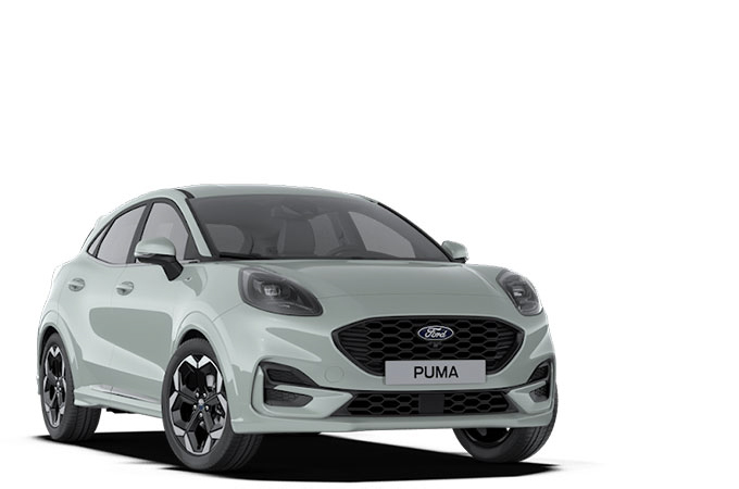 Puma Imm Gamma 450 (1)